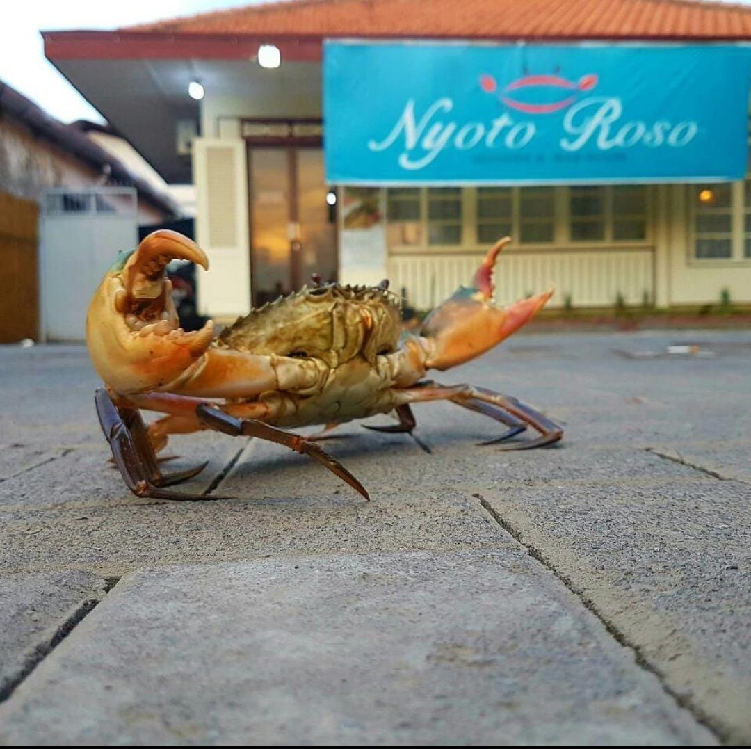 Kepiting Nyoto Roso Semarang