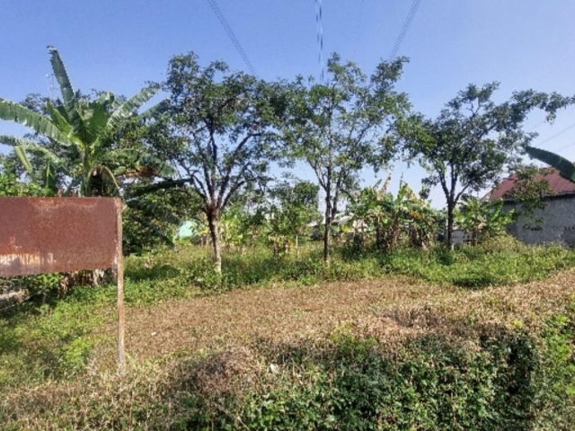 Sewa Tanah Kering Kecamatan Mijen