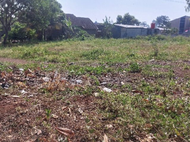 Sewa Tanah Kering Kecamatan MIjen