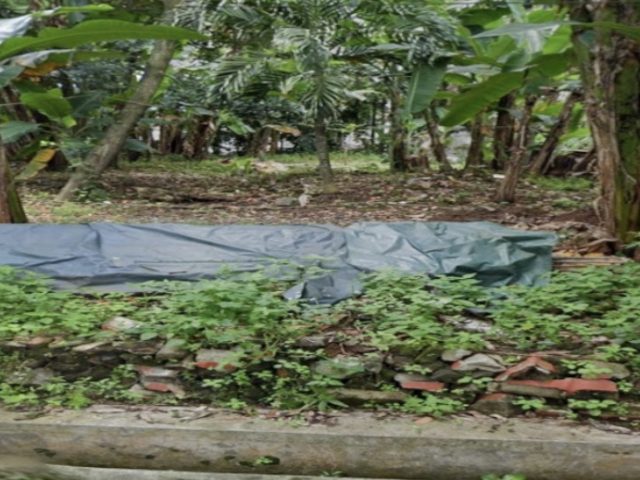 Sewa Tanah Untuk Bangunan Sarana Olah Raga (Lapangan Olah Raga) Kecamatan Banyumanik