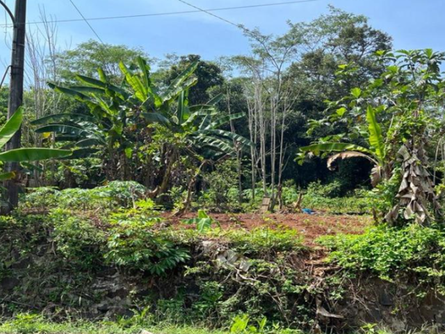 Sewa Tanah Sebelah Puskesmas Pembantu Podorejo Kecamatan Ngaliyan