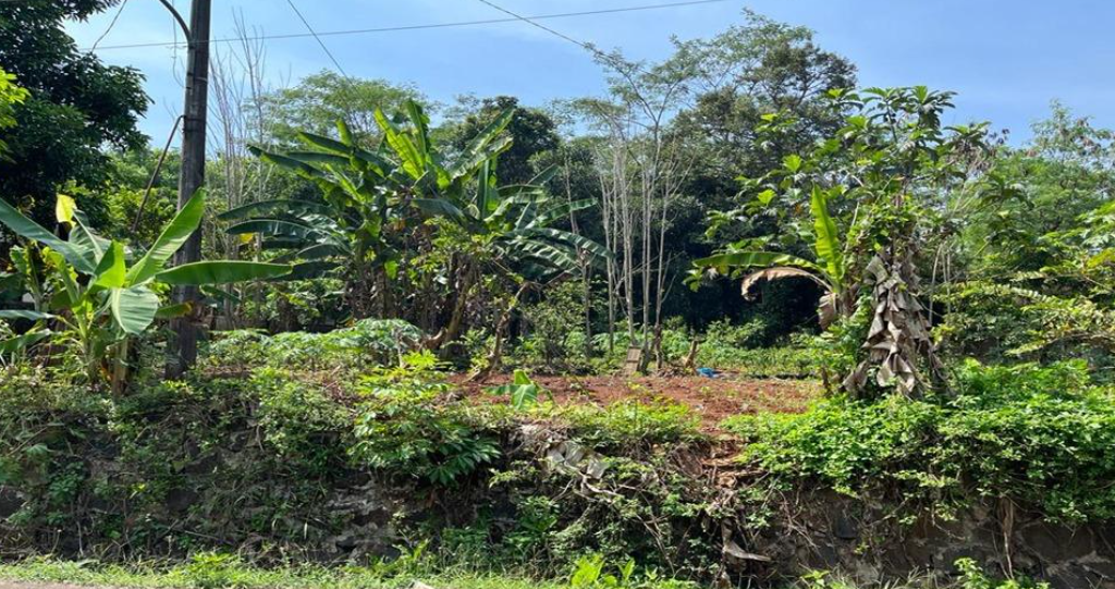 Sewa Tanah Sebelah Puskesmas Pembantu Podorejo Kecamatan Ngaliyan