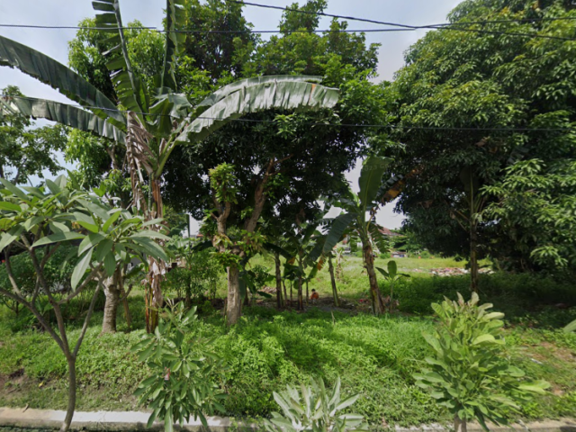 Sewa Tanah Bangunan Kantor Pemerintah Kecamatan Pedurungan