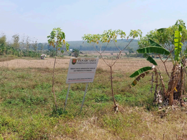Sewa Tanah Kosong (Hutan Wates) Kecamatan Ngaliyan
