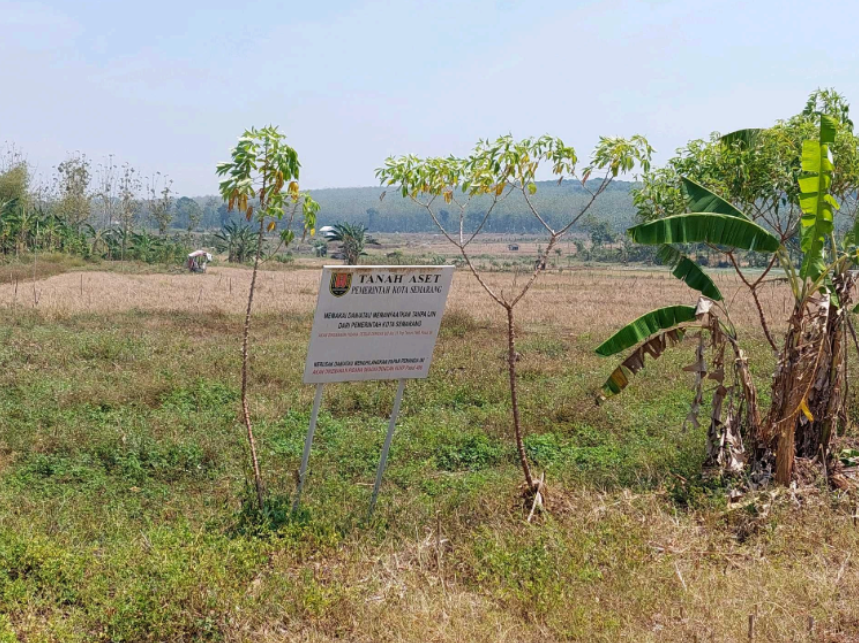 Sewa Tanah Kosong (Hutan Wates) Kecamatan Ngaliyan