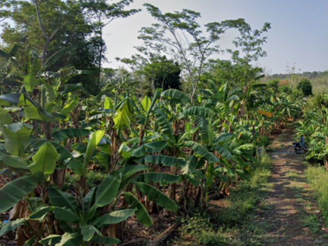 Sewa Bangunan Ex. SDN Wates 02 Kecamatan Ngaliyan